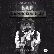 Постер книги Бар «В Кротовой Норе»
