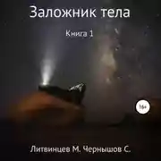 Постер книги Заложник тела. Книга 1
