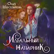 Постер книги Идеальный напарник