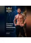 Сергей Орлов - Анатомия силовых упражнений