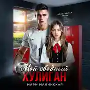 Постер книги Мой сводный хулиган