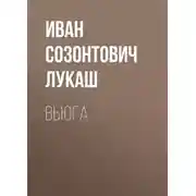 Постер книги Вьюга