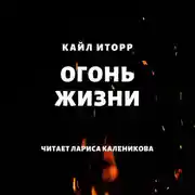 Постер книги Огонь жизни