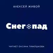 Постер книги Снегопад