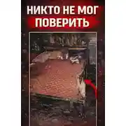 Постер книги Подруга-убийца
