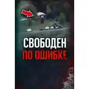 Постер книги Сбой системы правосудия