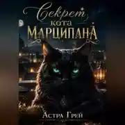 Постер книги Секрет кота Марципана.