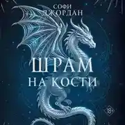 Постер книги Шрам на кости