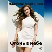 Постер книги Огонь в небе