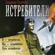 Постер книги Истребители: Я – истребитель. Мы – истребители. Путь истребителя