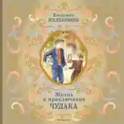 Постер книги Жизнь и приключения чудака
