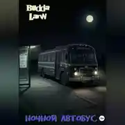 Постер книги Ночной автобус