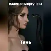 Постер книги Тень
