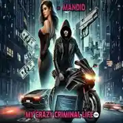Постер книги My crazy criminal life (версия до изменения текста)