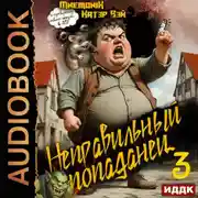 Постер книги Неправильный попаданец. Книга 3