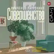 Постер книги Совершенство