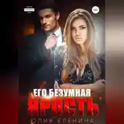 Постер книги Его безумная ярость