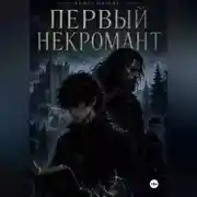 Постер книги Первый некромант