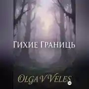 Постер книги Тихие границы