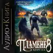 Постер книги Пламенев. Книга VI