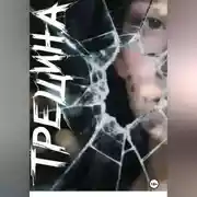Постер книги Трещина