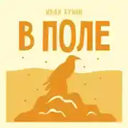 Постер книги В поле