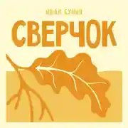 Постер книги Сверчок