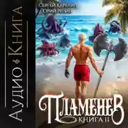 Постер книги Пламенев. Книга XI