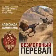 Постер книги Безмолвный перевал