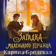 Постер книги Загадка Маленького принца