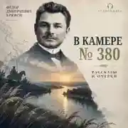 Постер книги В камере №380