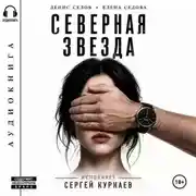 Постер книги Северная Звезда