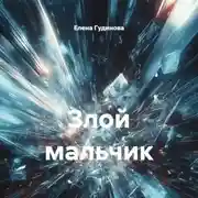 Постер книги Злой мальчик