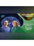 Казанский федеральный университет - Как мозг человека обучается, адаптируется и восстанавливается