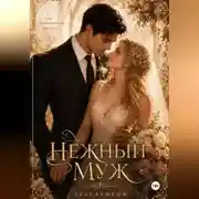 Постер книги Нежный муж