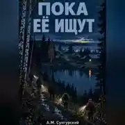 Постер книги Пока её ищут