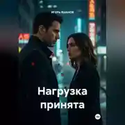 Постер книги Нагрузка принята