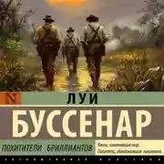 Постер книги Похитители бриллиантов