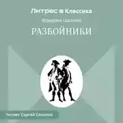 Постер книги Разбойники