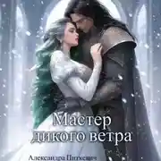 Постер книги Мастер дикого ветра