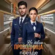 Постер книги Не твоя проводница. Развод в поезде