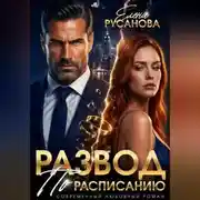 Постер книги Развод по расписанию