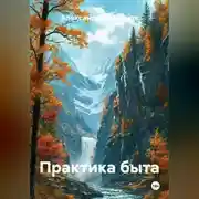 Постер книги Практика быта