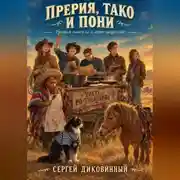 Постер книги Прерия, тако и пони