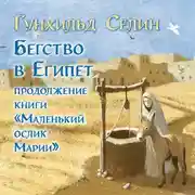 Постер книги Бегство в Египет
