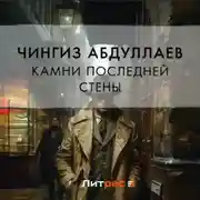 Постер книги Камни последней стены