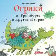 Постер книги Огрики из Грязьбурга. Сборник историй