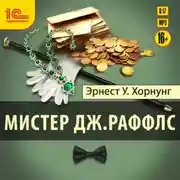 Постер книги Мистер Дж. Раффлс