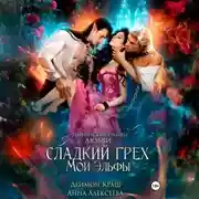 Постер книги Сладкий грех. Мои эльфы