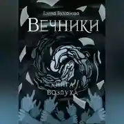 Постер книги Вечники. Книга воздуха